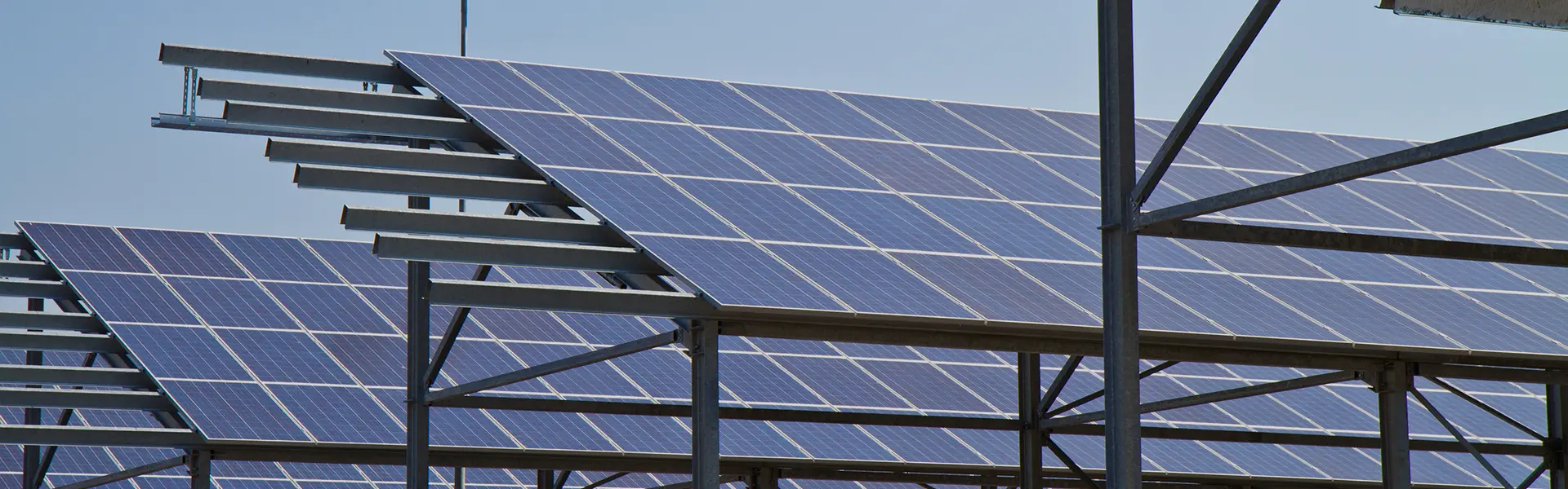 Meie kohta